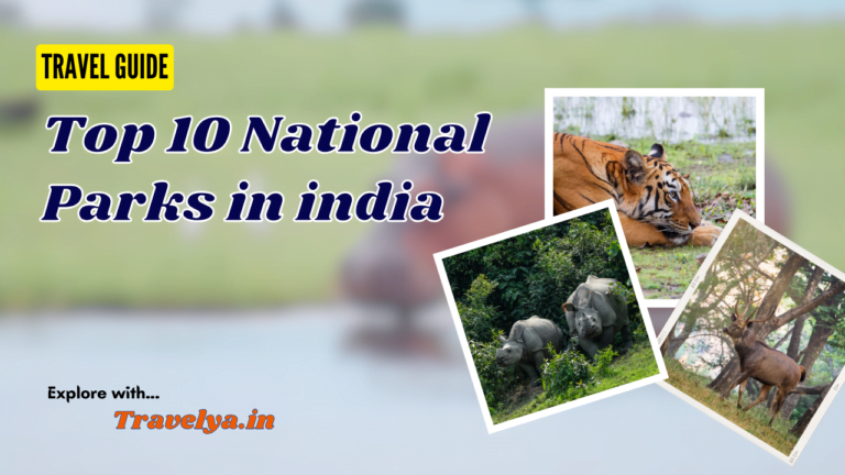 Top 10 National Parks in India